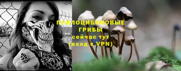 a pvp Кукмор